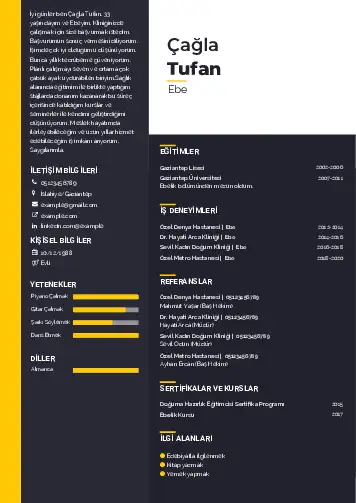 Ebe Cv Örnekleri cv indir